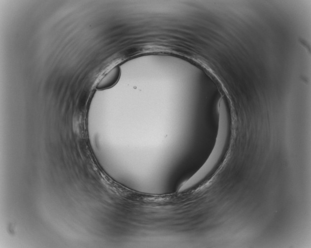 X0000099571145200806131251