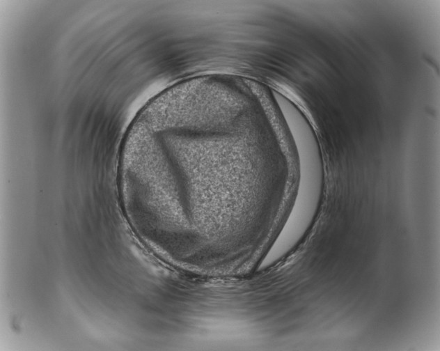 X0000099571146200806131251