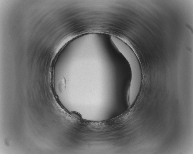 X0000099571147200806131251