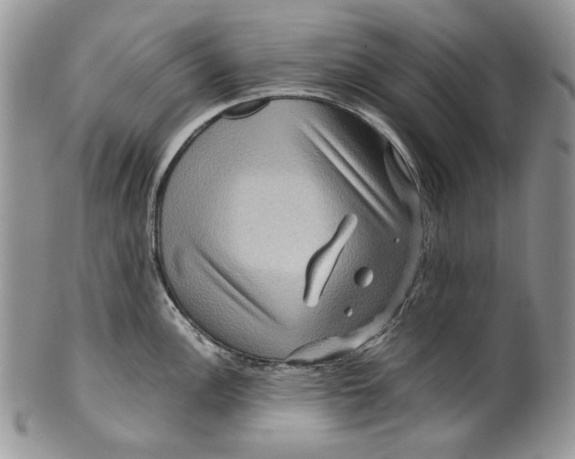 X0000099571148200806131251