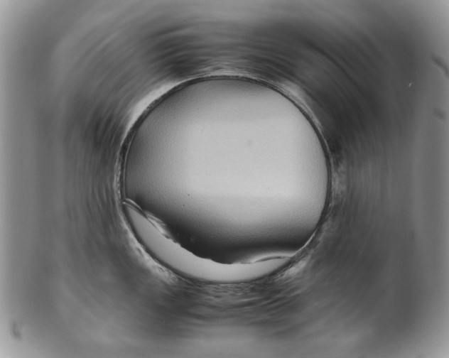 X0000099571149200806131251