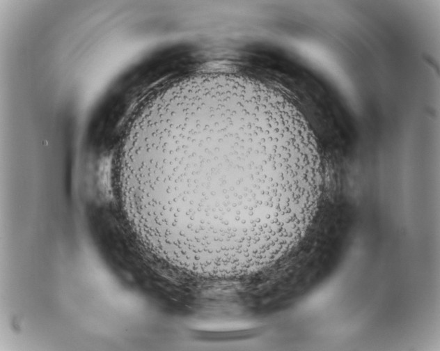 X0000099571150200806131251
