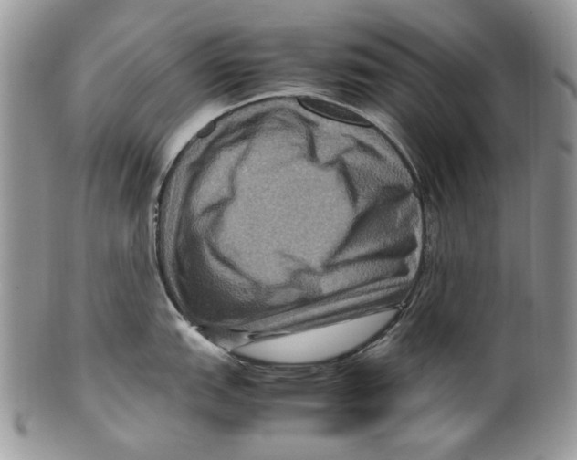 X0000099571151200806131251