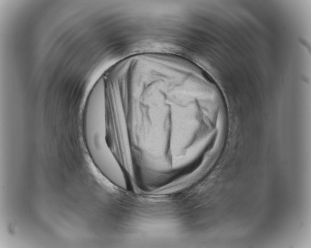 X0000099571152200806131251