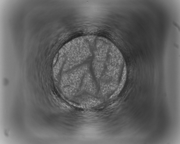 X0000099571153200806131250