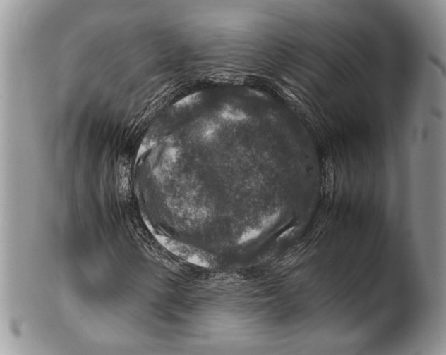 X0000099571154200806131250