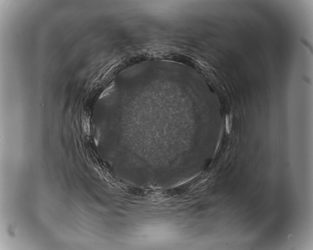 X0000099571155200806131250