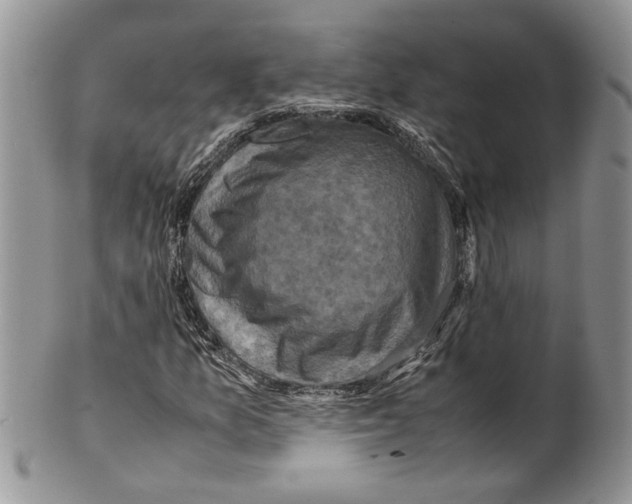 X0000099571157200806131250