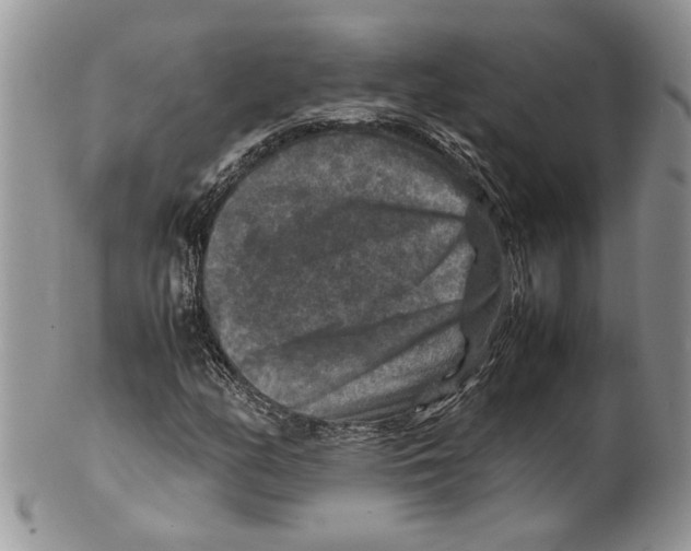 X0000099571158200806131250