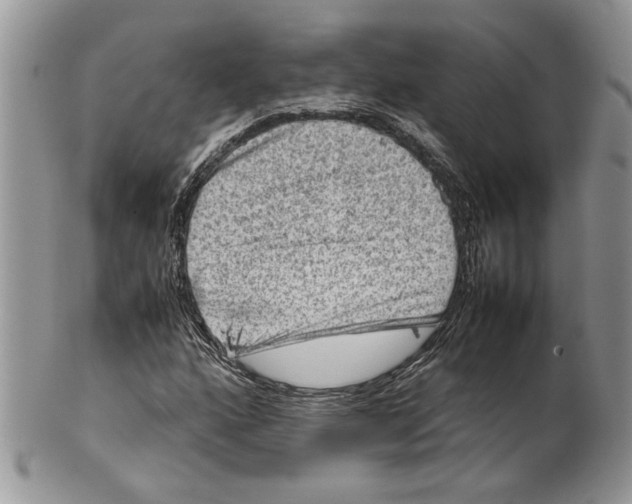 X0000099571160200806131250