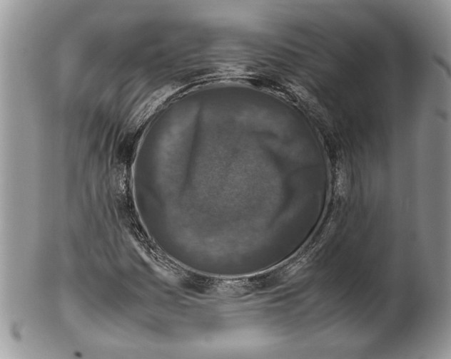 X0000099571161200806131250