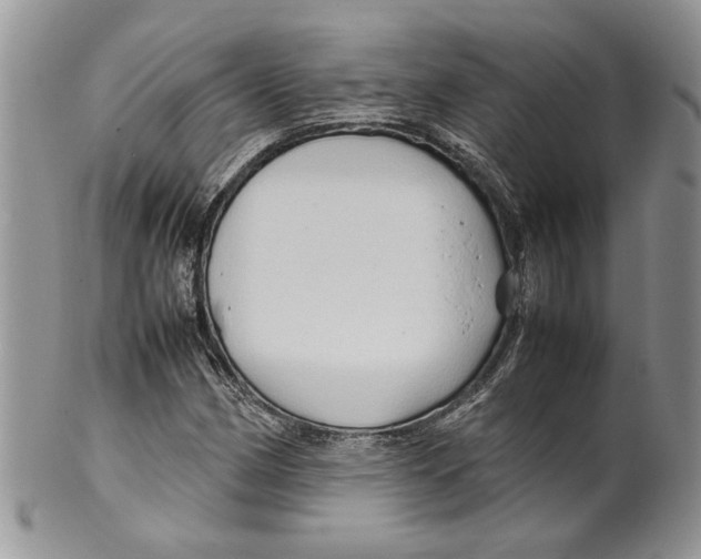 X0000099571162200806131250