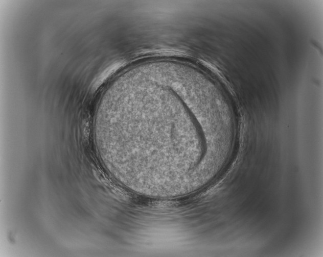 X0000099571163200806131250