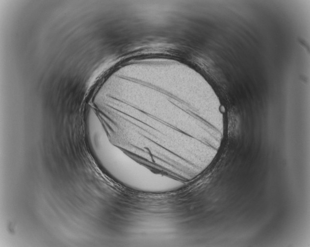 X0000099571164200806131250