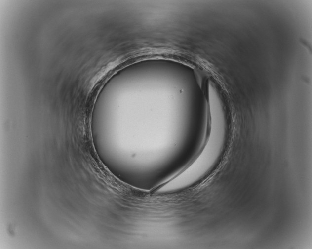 X0000099571165200806131250