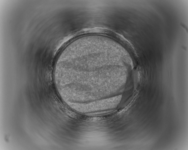 X0000099571166200806131250