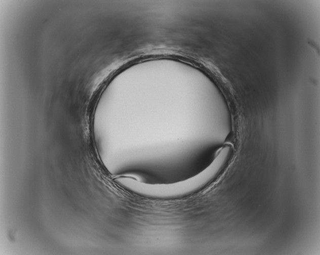 X0000099571167200806131250