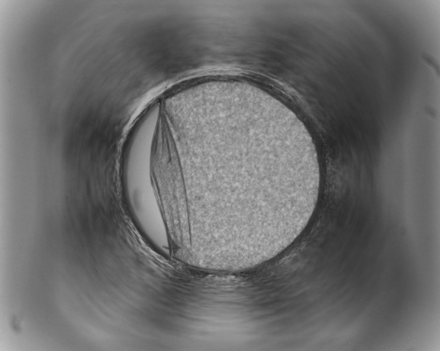 X0000099571168200806131250
