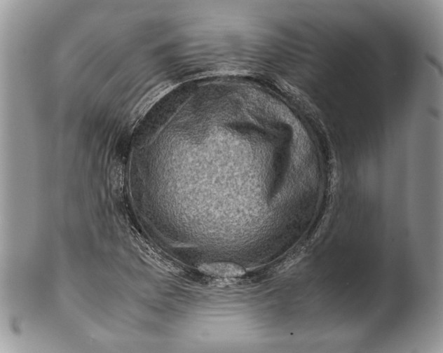 X0000099571169200806131250