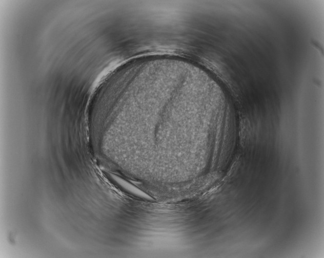 X0000099571172200806131250