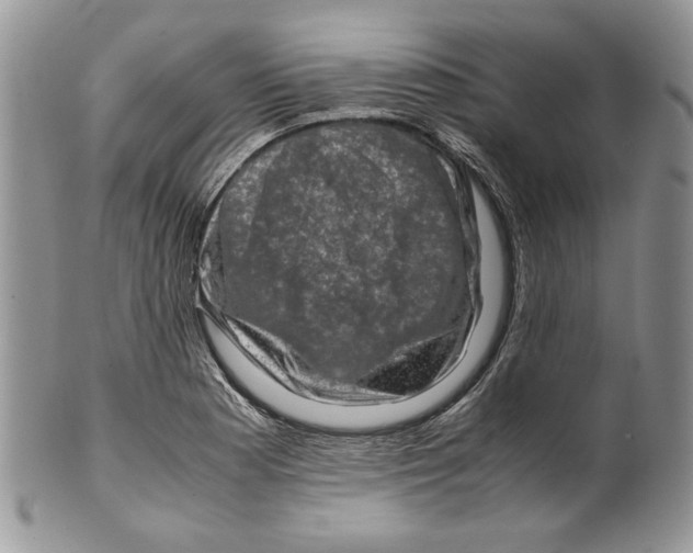 X0000099571177200806131250