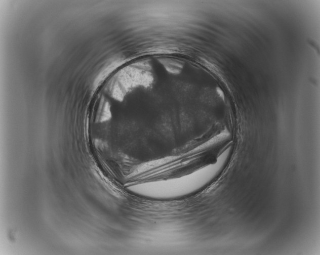 X0000099571179200806131250