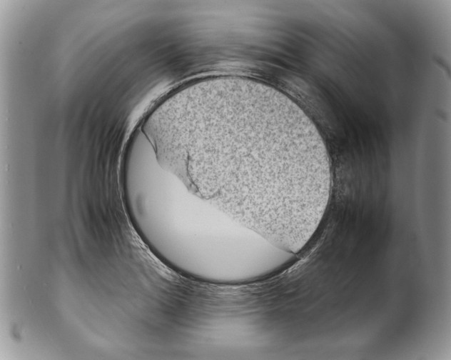 X0000099571180200806131250