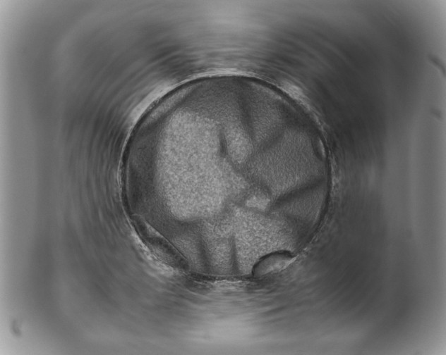 X0000099571181200806131250