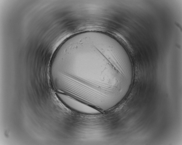 X0000099571182200806131250
