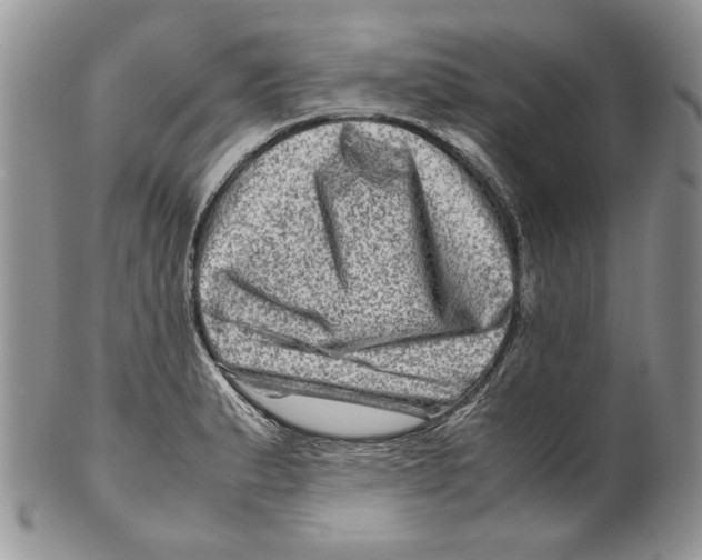 X0000099571183200806131250