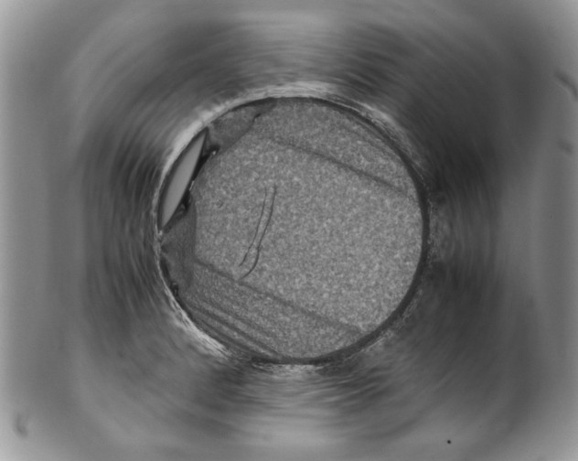X0000099571184200806131250