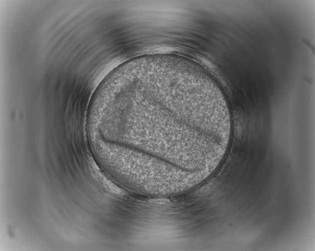 X0000099571186200806131250