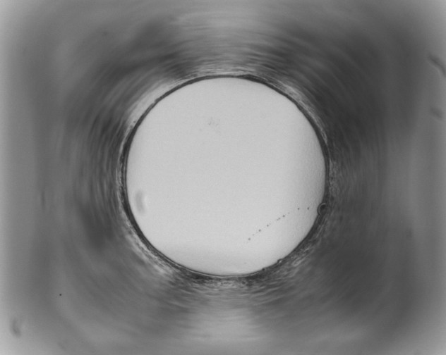 X0000099571187200806131250