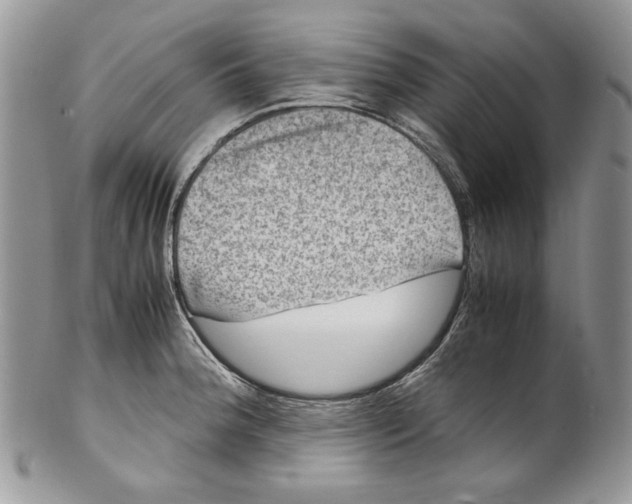 X0000099571188200806131250