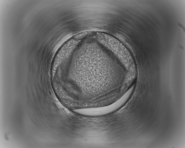 X0000099571189200806131250