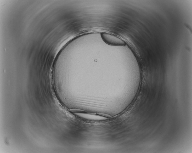 X0000099571190200806131250