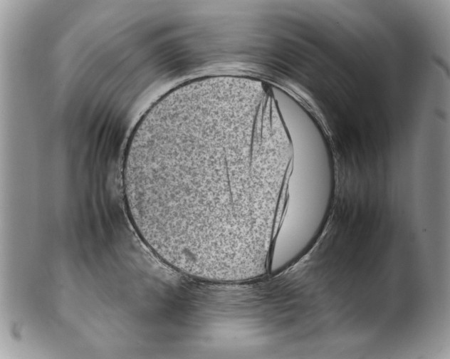 X0000099571192200806131250