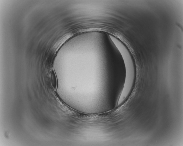 X0000099571193200806131250