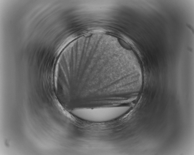 X0000099571194200806131250