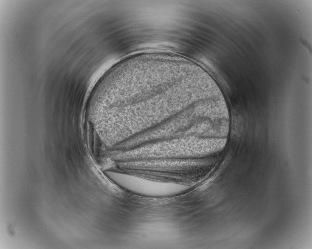 X0000099571196200806131250