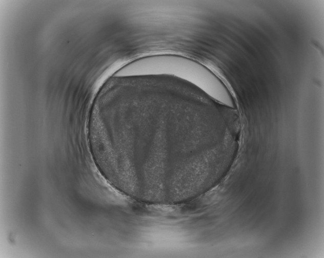 X0000099571197200806131249