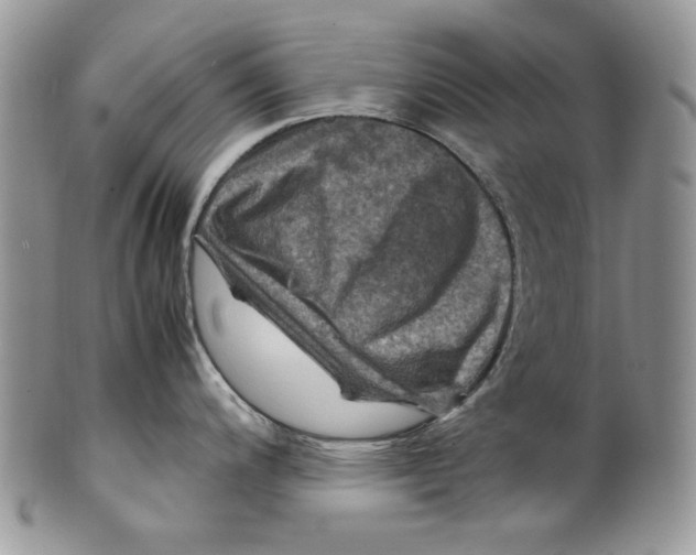 X0000099571200200806131249
