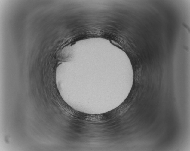 X0000099571201200806131249