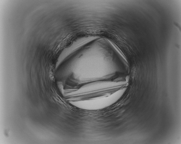 X0000099571202200806131249