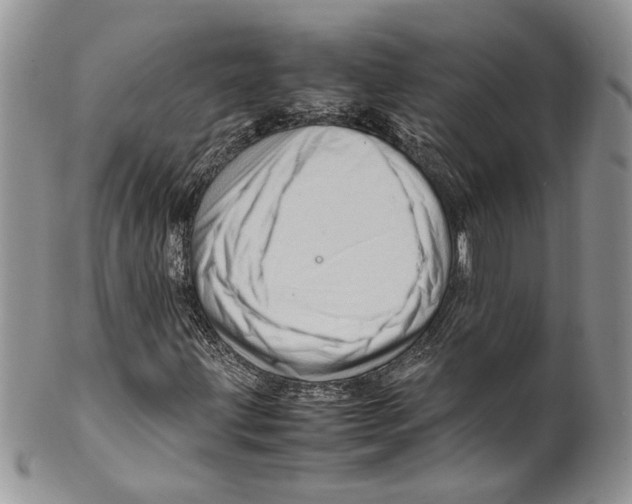 X0000099571203200806131249