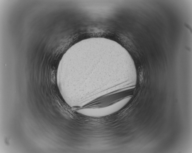 X0000099571204200806131249
