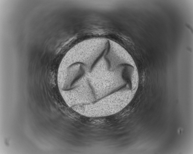 X0000099571205200806131249