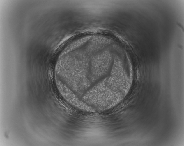 X0000099571206200806131249