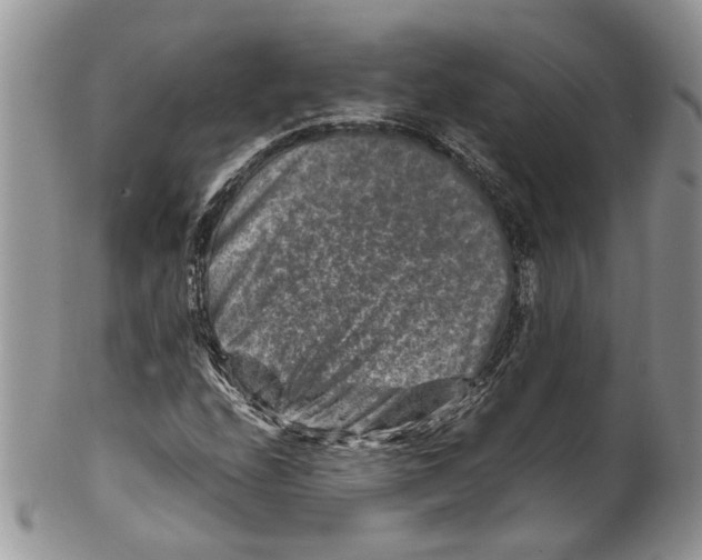 X0000099571208200806131249