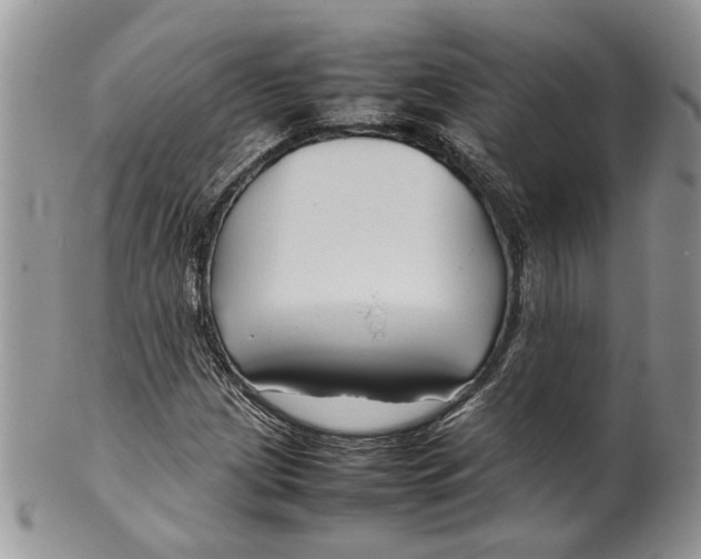 X0000099571209200806131249